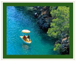 Slider image (9) Revitalize in Turkey